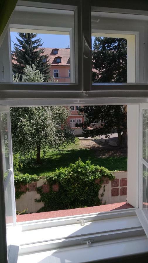 Skromny Apartman V Centru Chebu エクステリア 写真